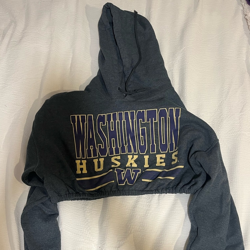 Washington Huskies gray cropped hoodie